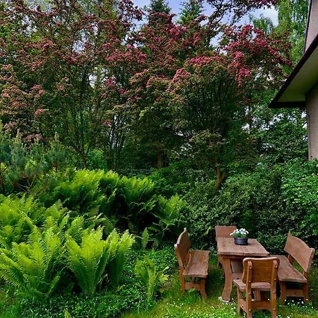 Sarenka Apartman